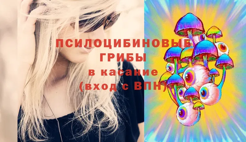 Псилоцибиновые грибы Psilocybe  гидра сайт  Дно 